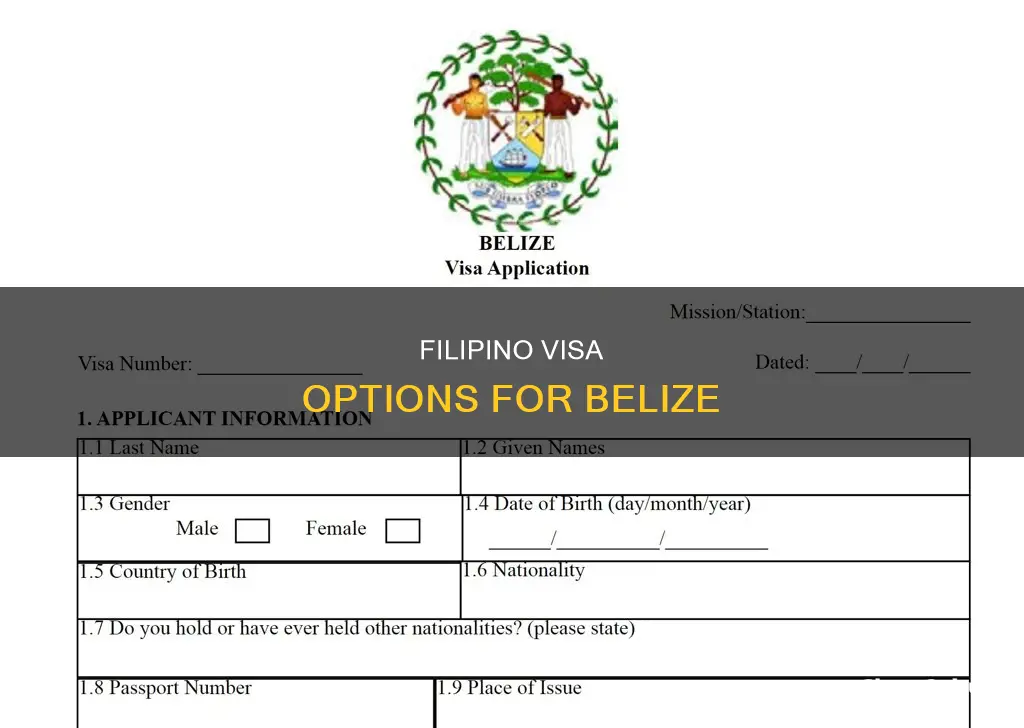 which agency can obtain belize visa for filipino