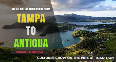 Tampa to Antigua: Direct Flights and Airline Options