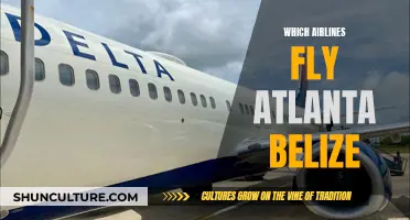 Airlines Flying Atlanta-Belize Route