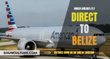 Direct Flights to Belize: Which Airlines?