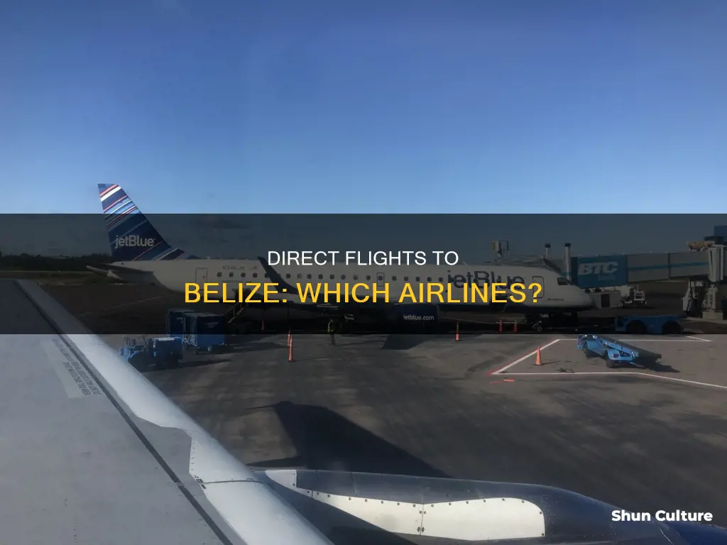 which airlines fly direct to belize