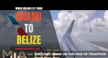 Airlines Offering Direct Miami-Belize Flights