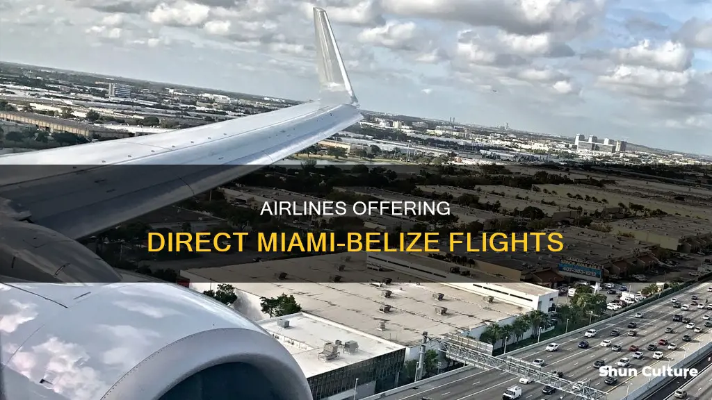 which airlines fly from miami to belize