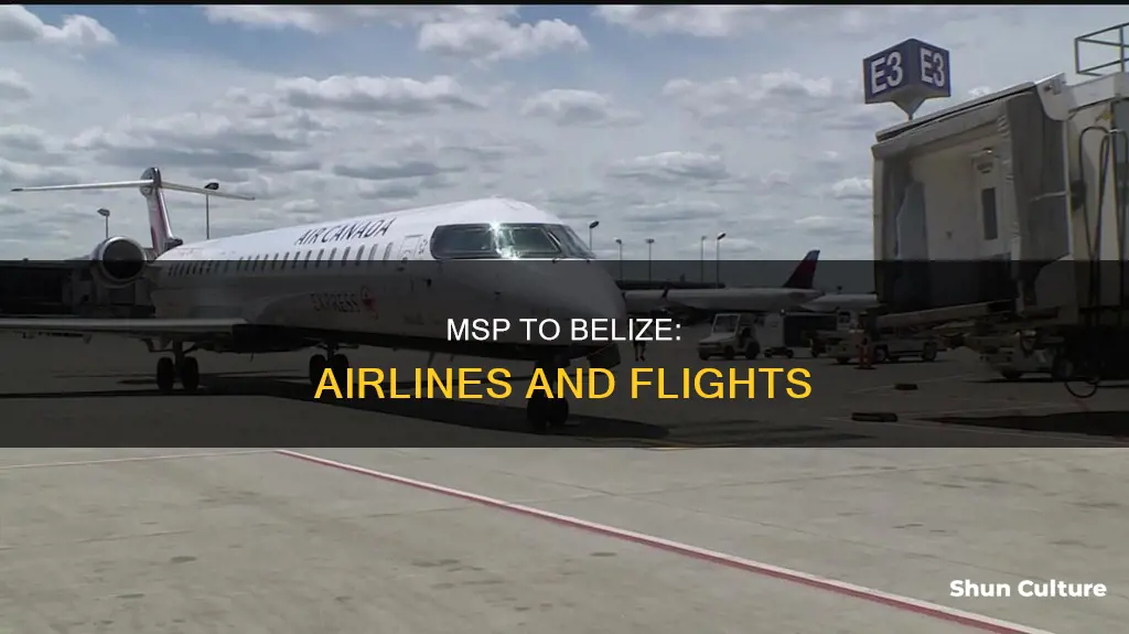 which airlines fly from msp to belize