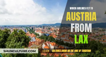 Best Airlines to Fly from LAX to Austria