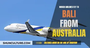 Airlines Flying Australians to Bali: The Complete Guide