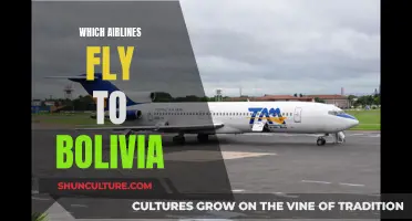 Airlines Flying to Bolivia: Comprehensive Guide