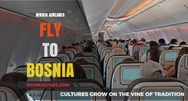 Discover Airlines Offering Flights to Bosnia: Your Travel Guide
