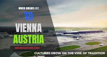 Exploring Vienna: A Guide to Global Airlines Serving Austria's Capital