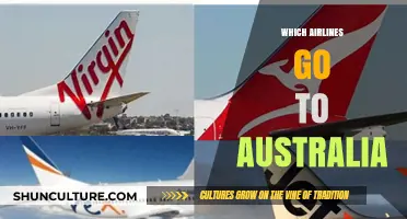 Top Airlines Offering Flights to Australia: Your Ultimate Travel Guide