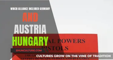 The Central Powers: Germany and Austria-Hungary's Alliance