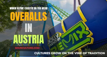 Exploring Austria's Alpine Coasters: Wearing Overalls, Adventure Unveiled!