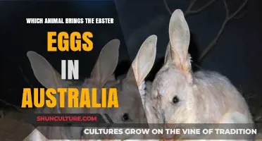 Australia's Easter Egg-citement: Animal Couriers Down Under