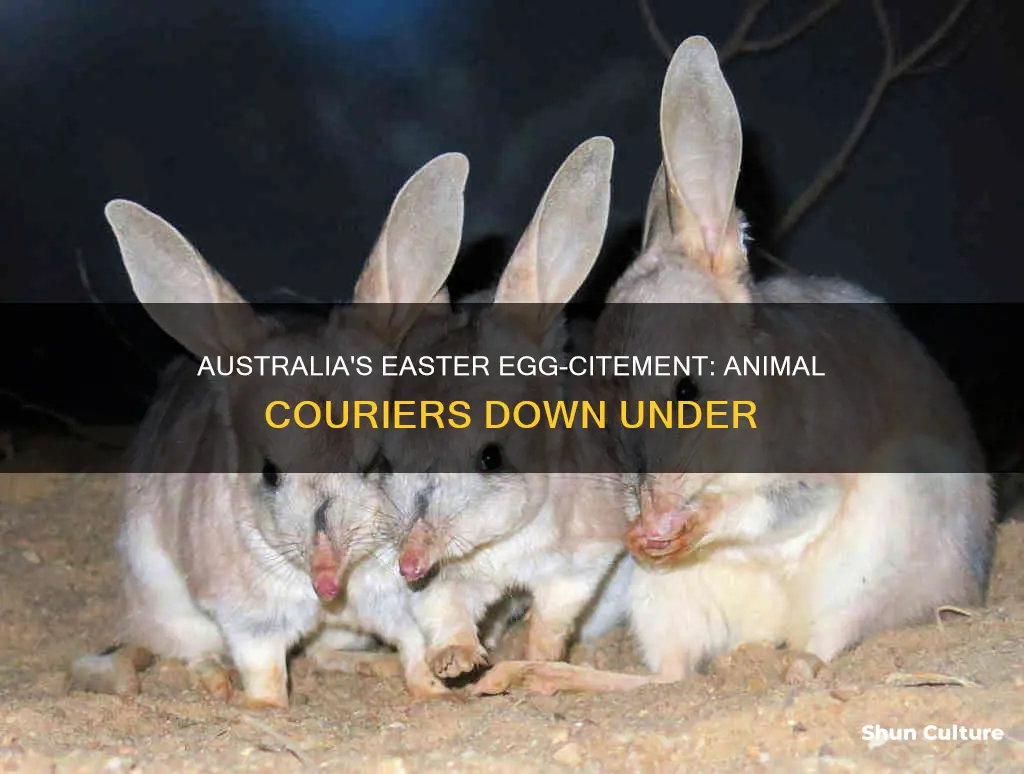 which animal brings the easter eggs in australia