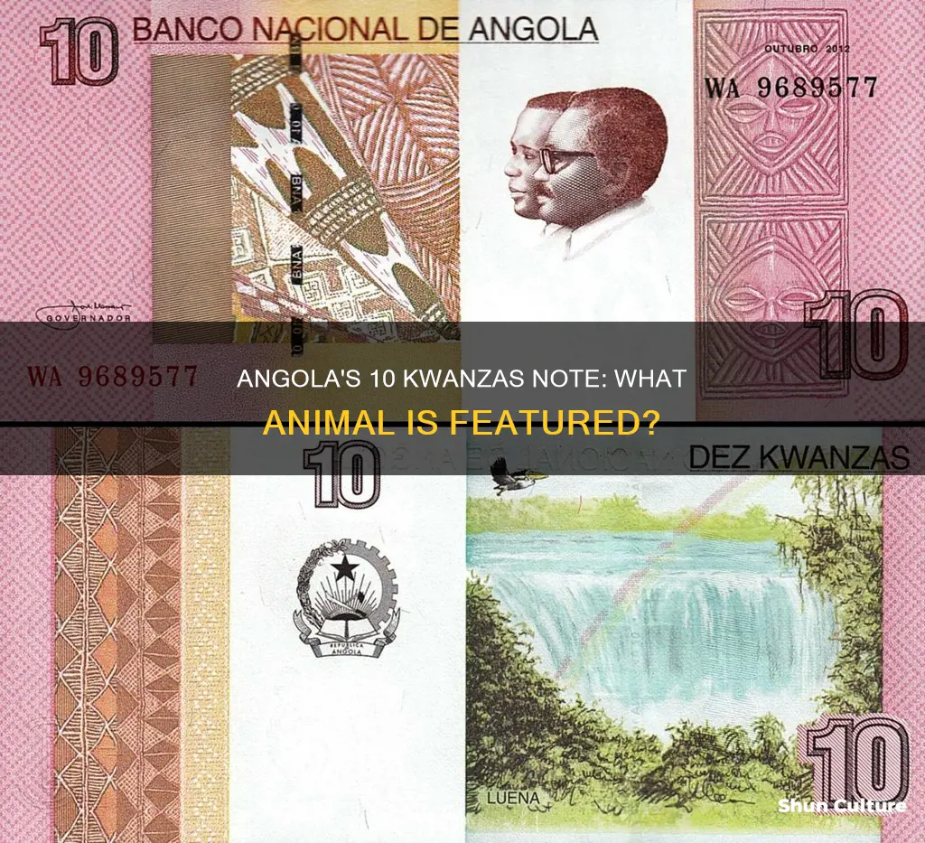 which animal features on angola 10 kwanzas note