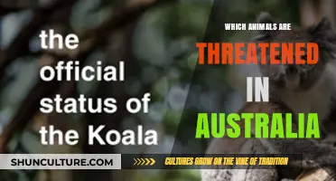 Australian Wildlife: Species on the Edge