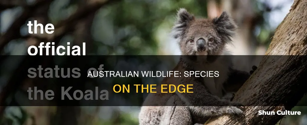 which animals are threatened in australia
