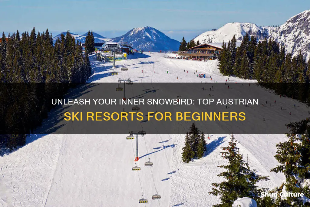 which are best austrian ski resorts for beginners