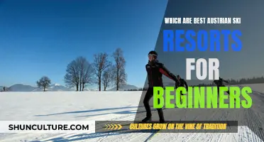 Best Austrian Ski Resorts Perfect for Beginners