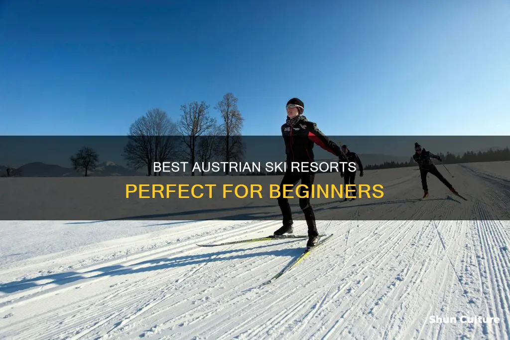 which are best austrian ski resorts for beginners