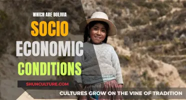 Bolivia's Socio-Economic Climate: Challenges and Opportunities