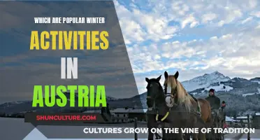 Winter Fun in Austria: Top Activities to Try