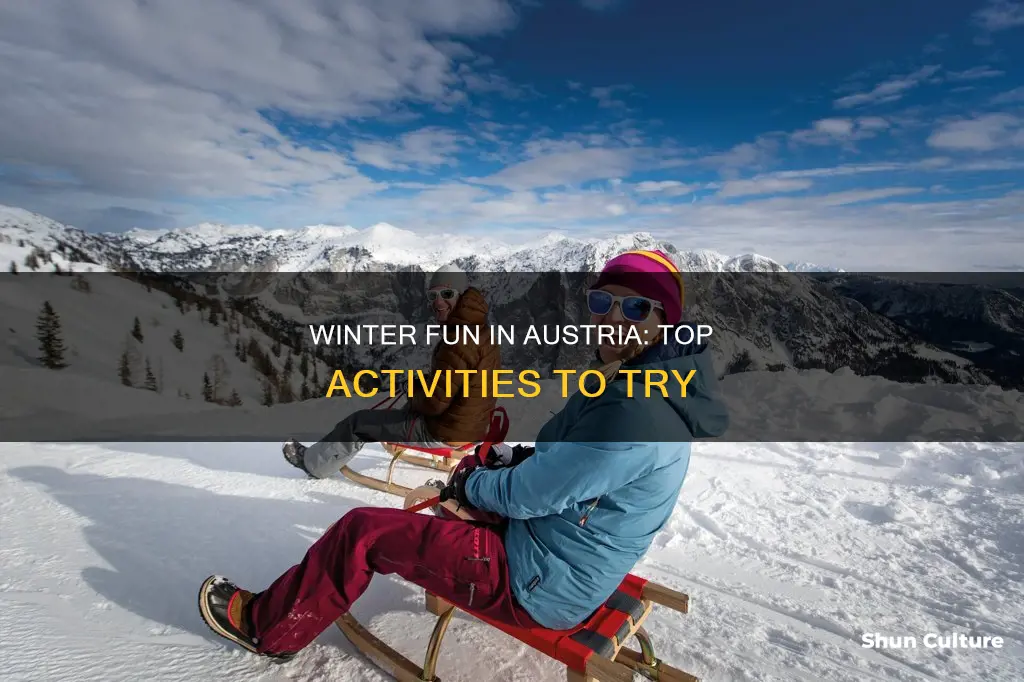 which are popular winter activities in austria