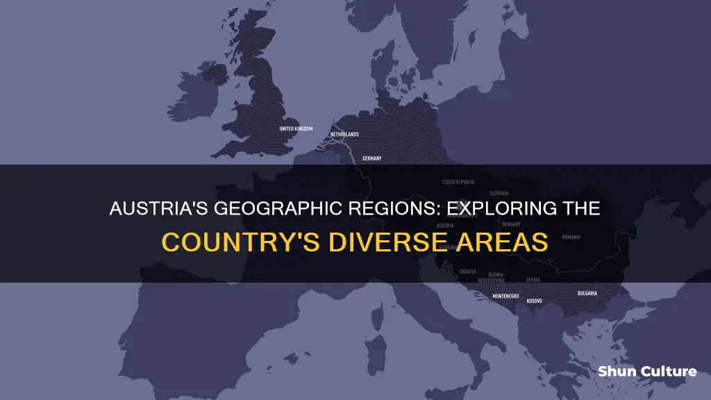 which areas are geographic regions of austria