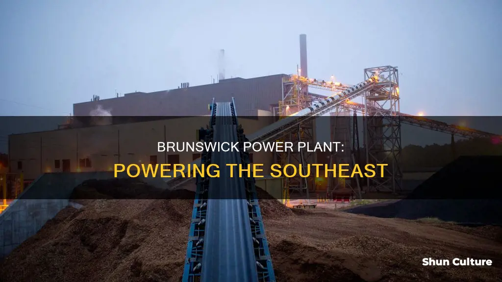 which areas does brunswick power plant give power