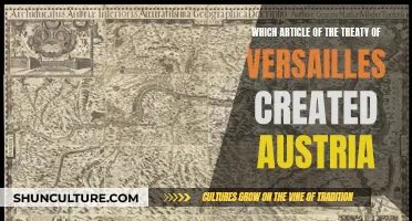 Austria's Birth: Treaty of Versailles Article Explained