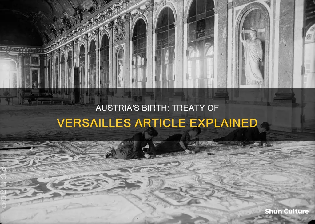 which article of the treaty of versailles created austria