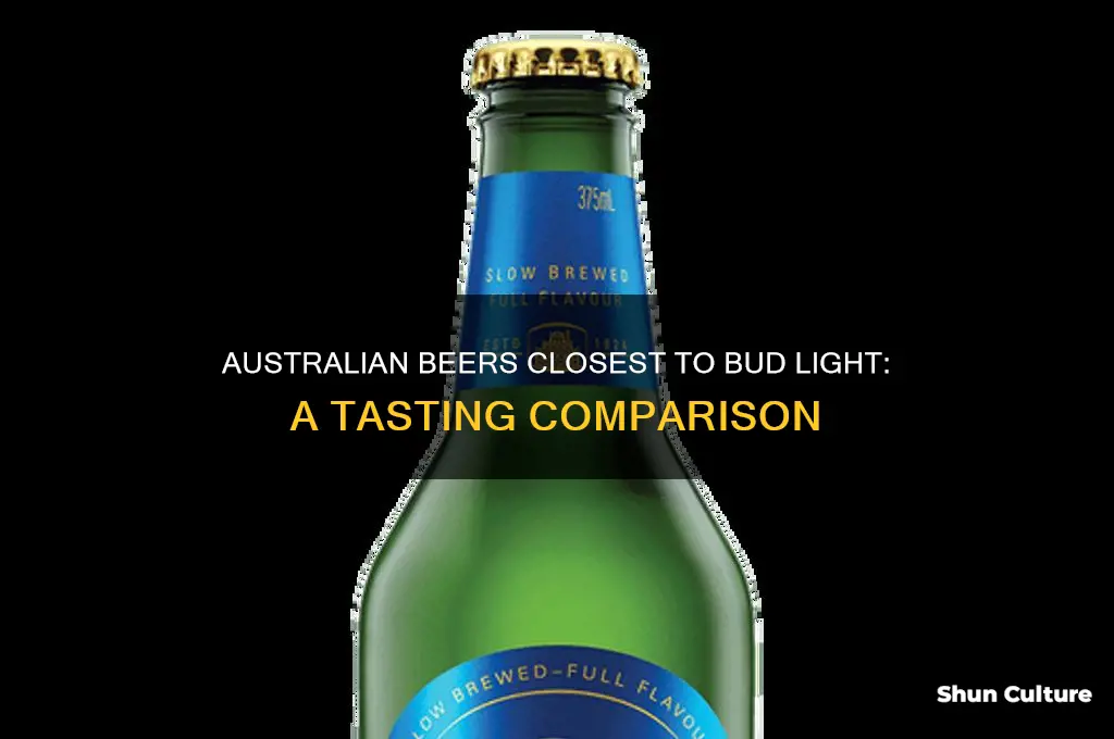 which australian beer tastes most like bud light