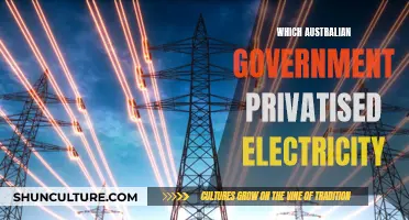 Australian Electricity Privatization: A Government's Legacy