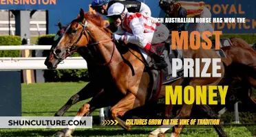 Top Australian Racehorse with the Highest Earnings