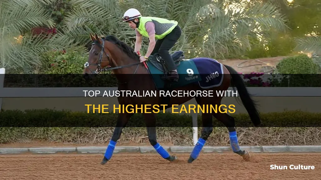 which australian horse has won the most prize money