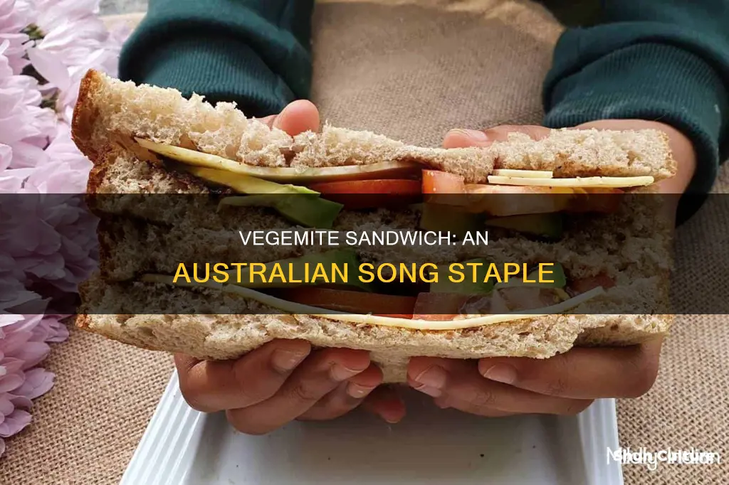 which australian song mentions eating a vegemite sandwich
