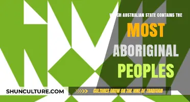 Exploring Aboriginal Populations: Which Australian State Leads?