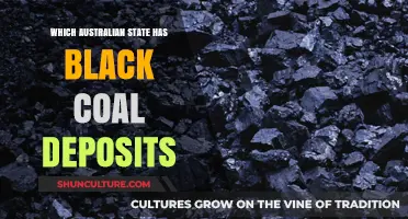 Black Coal Deposits: Which Australian State Has Them?