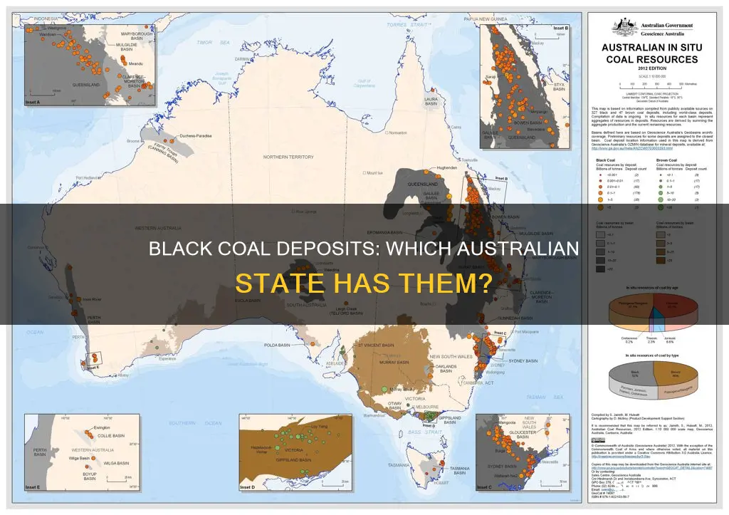 which australian state has black coal deposits