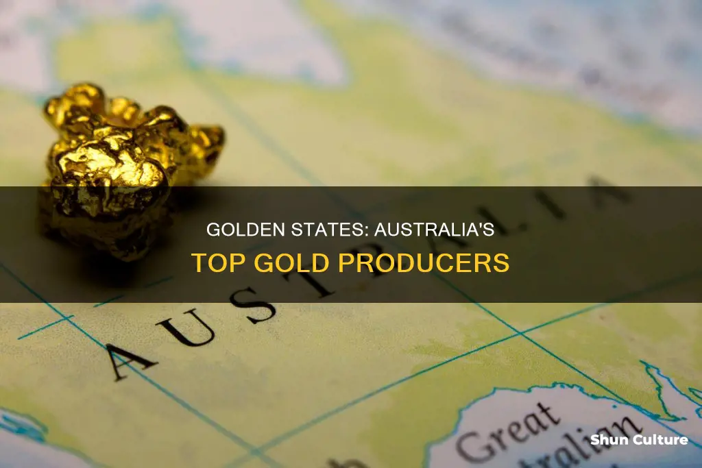 which australian state has produced the most gold