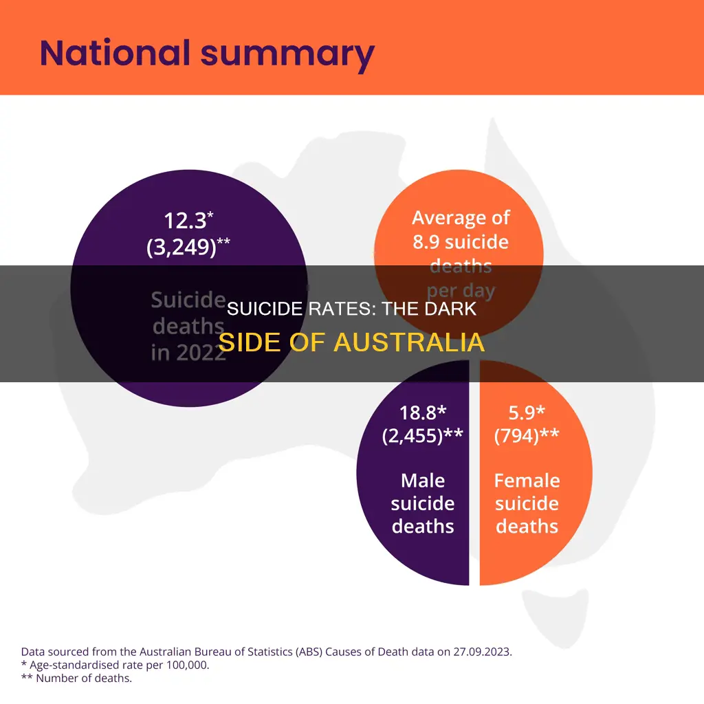 which australian state has the highest suicide rate