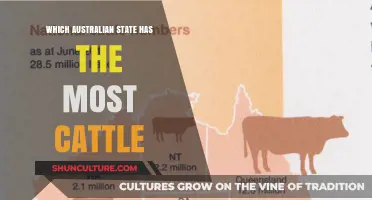 Cattle Country: Australia's Top Beef-Producing State