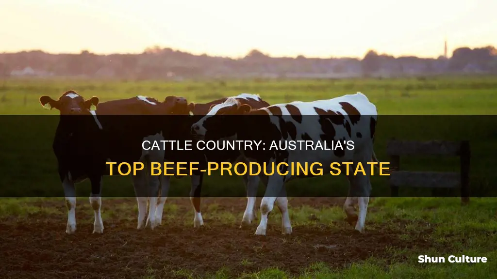 which australian state has the most cattle