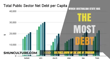 Exploring Australia's State Debt: Who's in the Red?