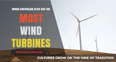 Exploring Australia's Wind Energy Leader