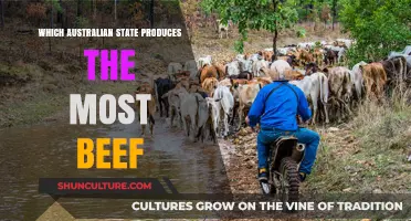 Beef Production: Australia's Top State Revealed