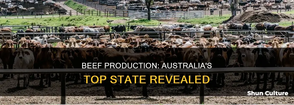which australian state produces the most beef