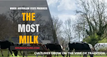 Milk Production in Australia: Which State Leads?