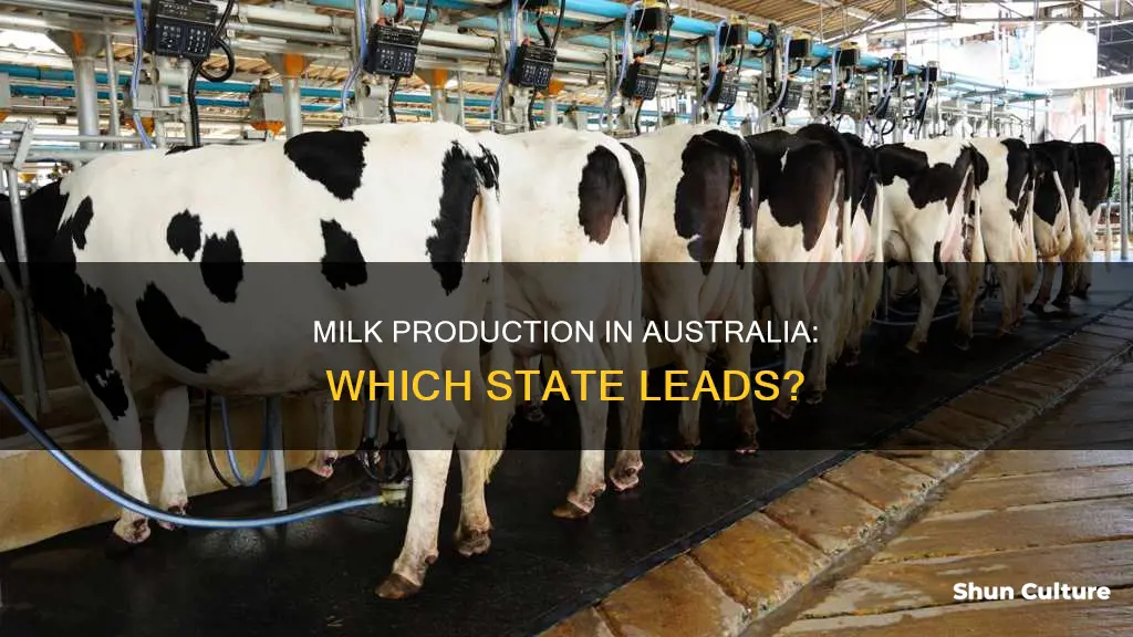 which australian state produces the most milk