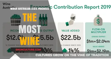 Wine Regions of Australia: Top Producing States